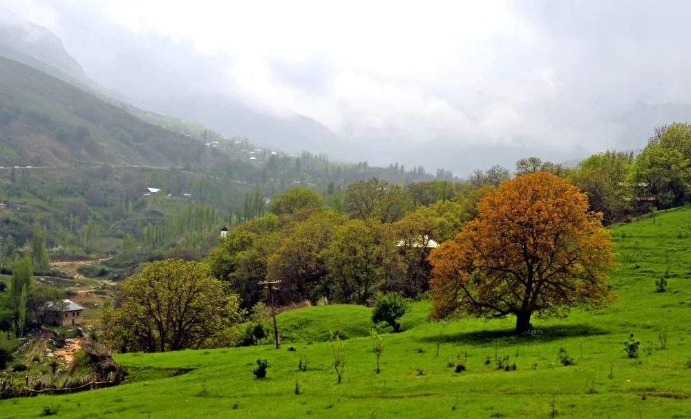 Green valleys of Chimgan